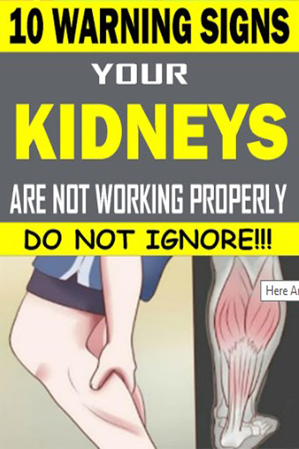 healthy kidney