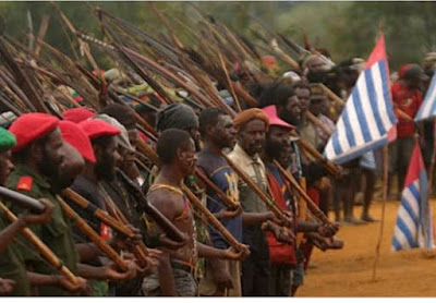 Pemerintah Diminta Tetapkan Organisasi Papua Merdeka (OPM) sebagai Teroris