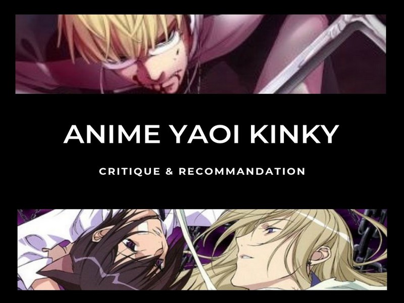 Liste anime yaoi kinky - LaBoxCritique