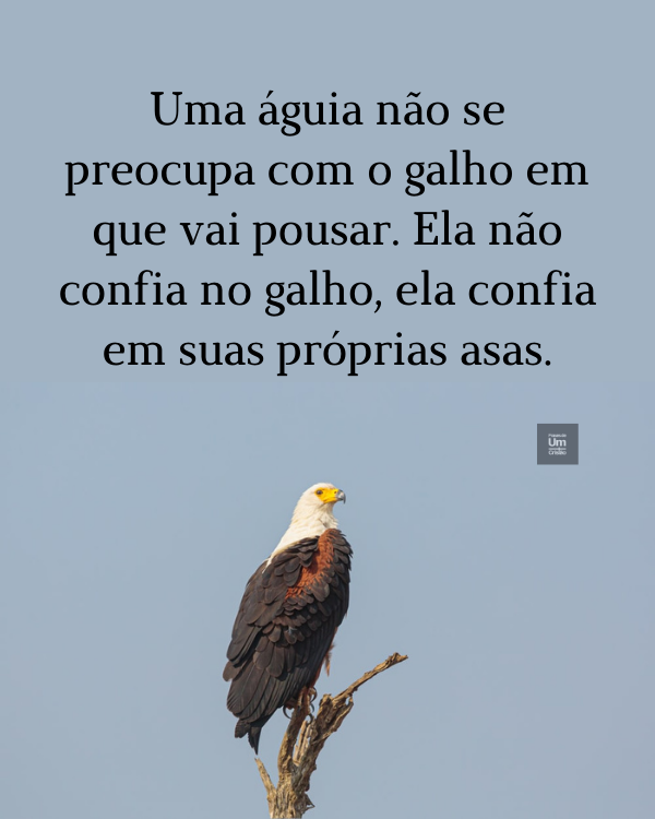 frases%2Bde%2Baguias.png