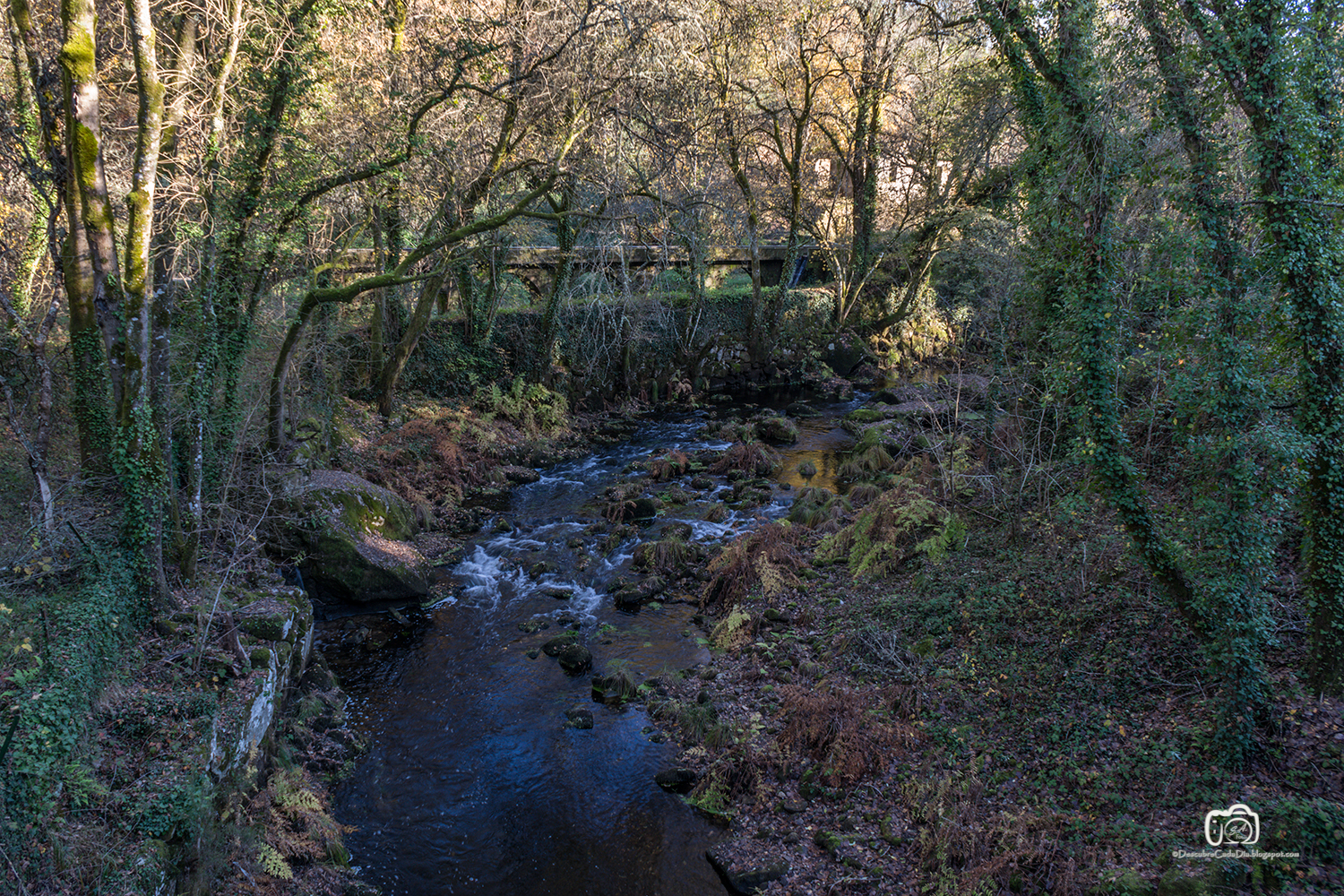 Descubre Cada Día Paseo del río Arenteiro en Carballiño (Ourense)