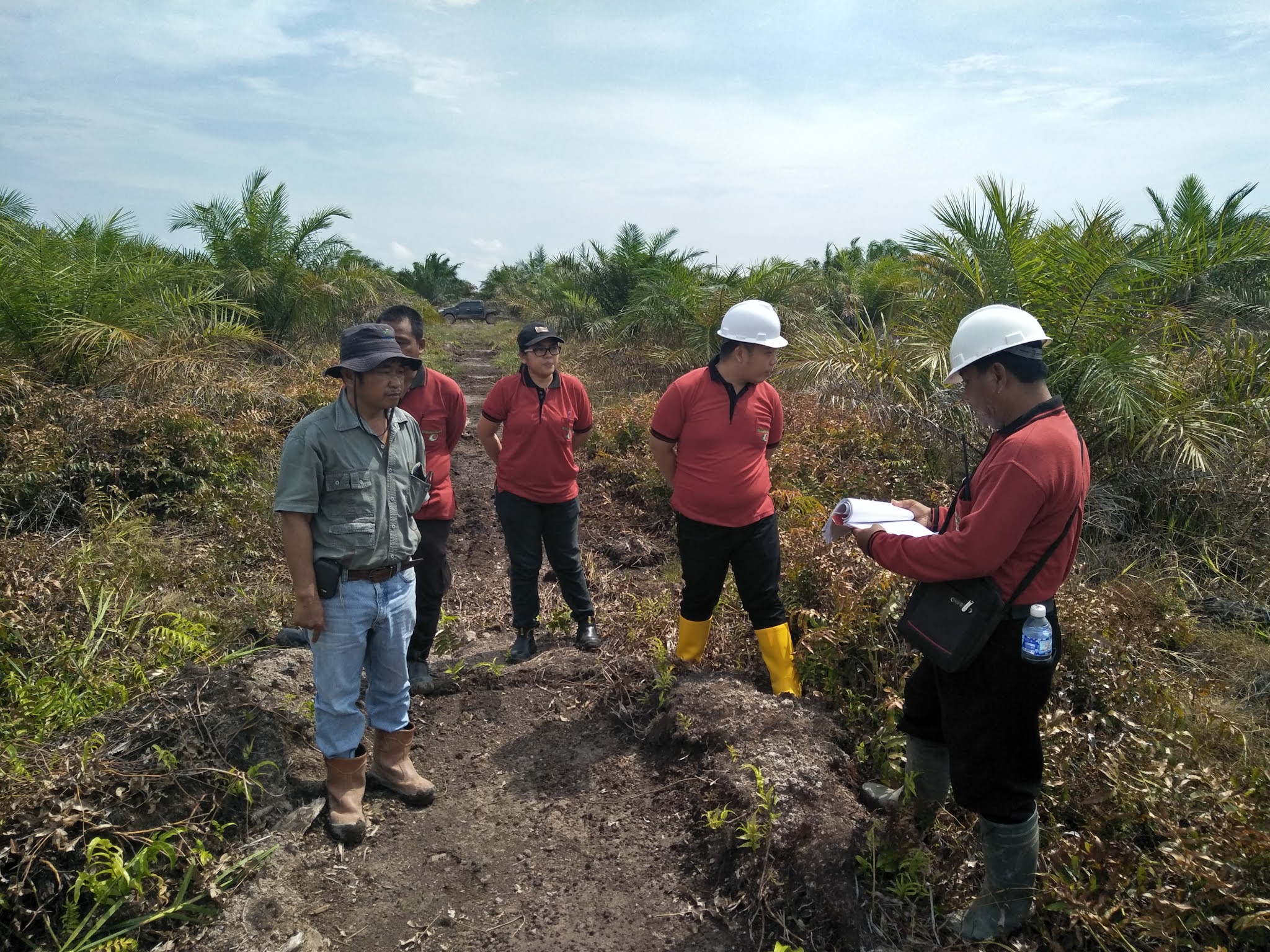 Loker Sawit Sriwijaya Palm Oil Group Buka Lowongan Kerja Loker Sawit Sriwijaya Palm Oil Group Buka Lowongan Kerja