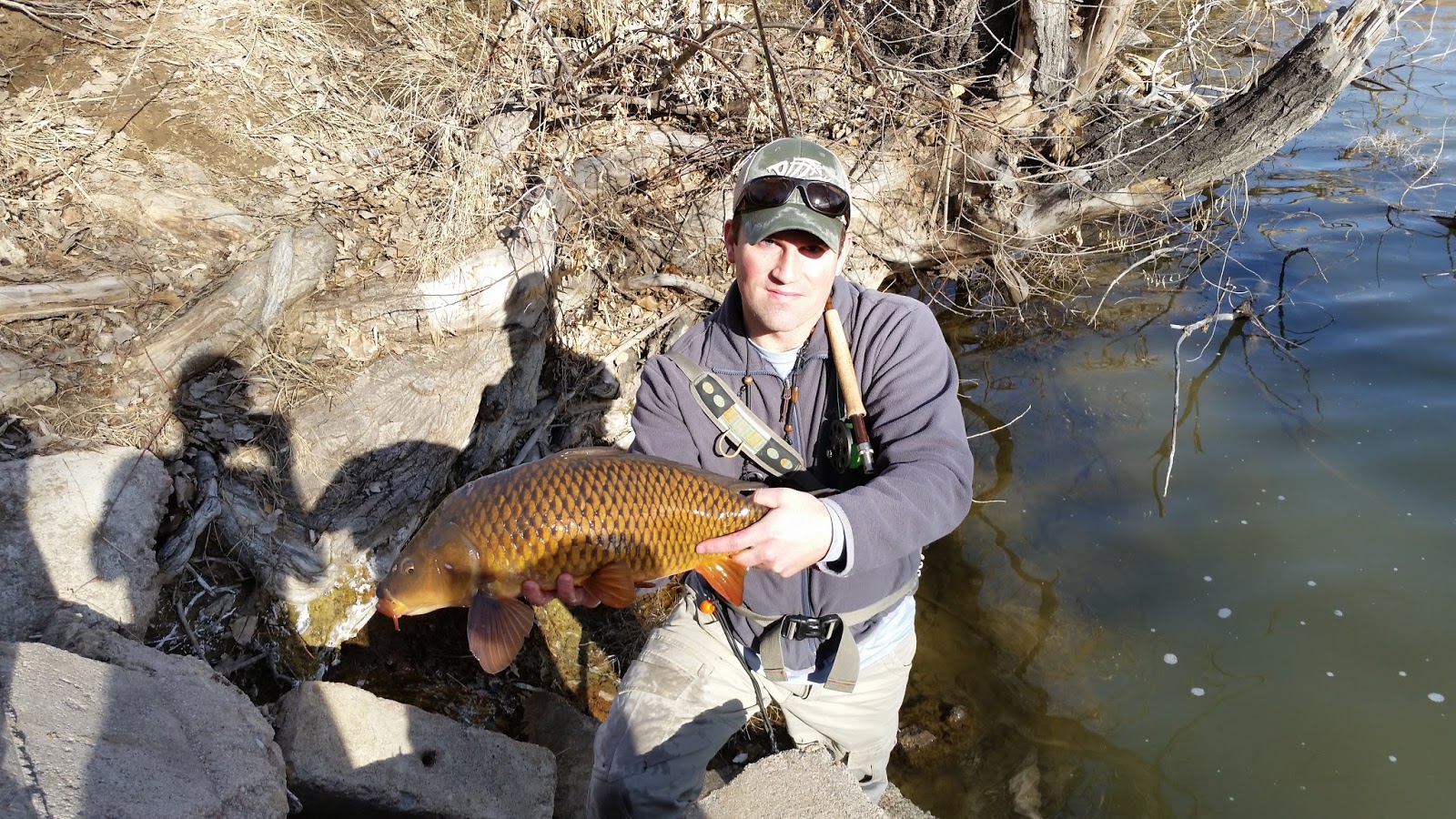 Go Fly a Carp Colorado Carp Fly Fishing Catching carp on the fly in