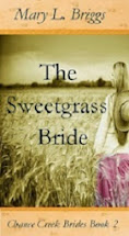 Chance Creek Brides, Book 2