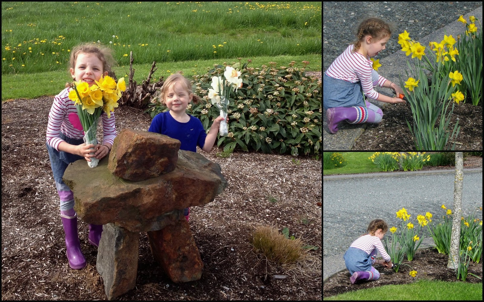 Essay porch april fields 06 picture