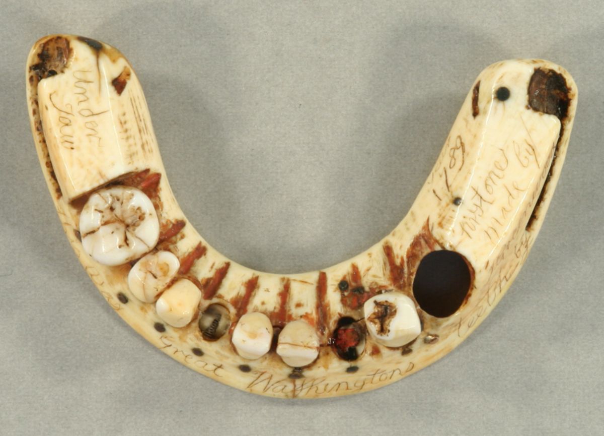 Washington’s False Teeth He Only Had One Real Tooth Remained in