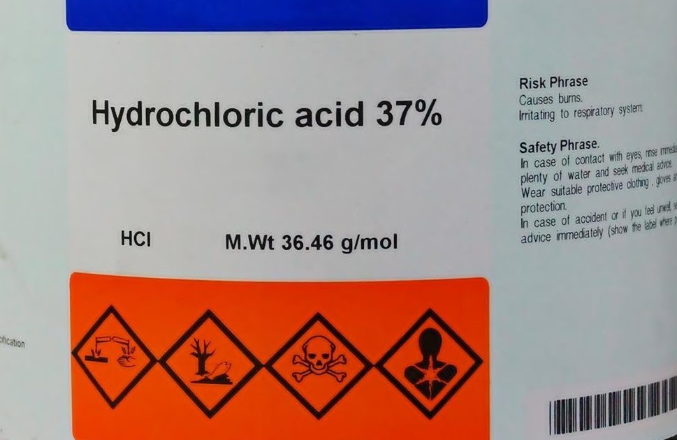 FOOD SCIENCE Physiological functions of hydrochloric acid in stomach