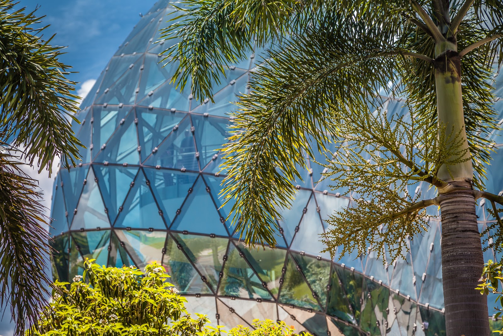 Traces Of Evil Das Regierungsviertel