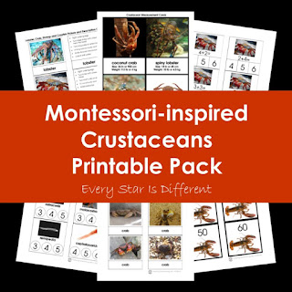 Montessori-inspired Crustaceans Printable Pack