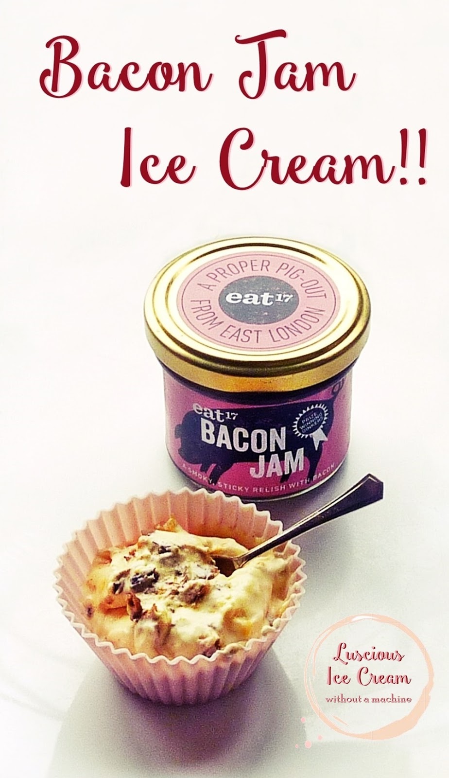 Sudden Lunch! Suzy Bowler Delicious Homemade Ice Creams You Really