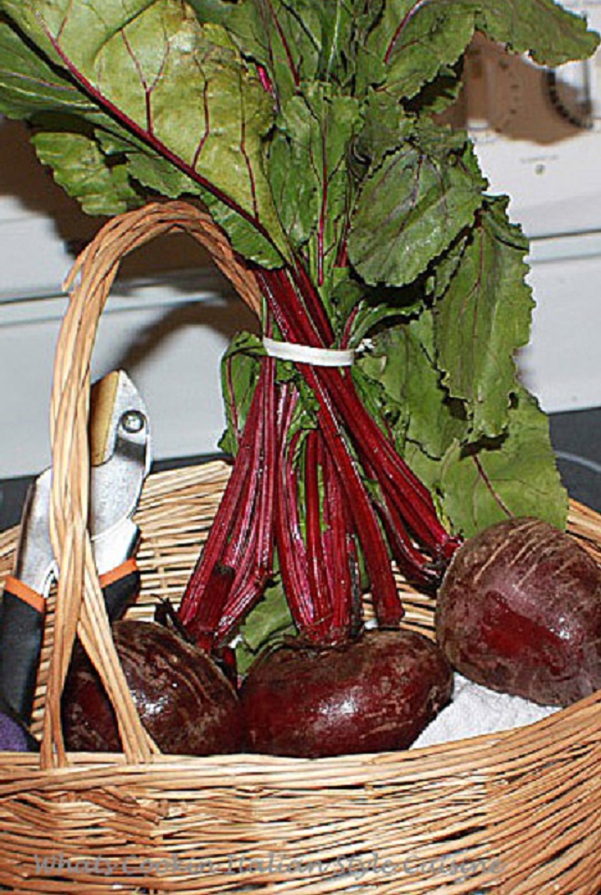 Roasted Beets Salads And Healthy Weight Loss
