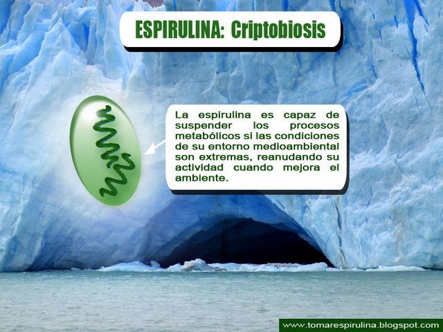 espirulina y criptobiosis