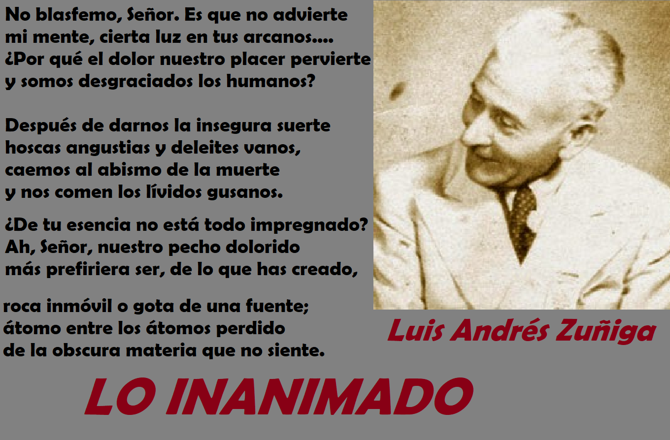 LUIS ANDRÉS ZUÑIGA