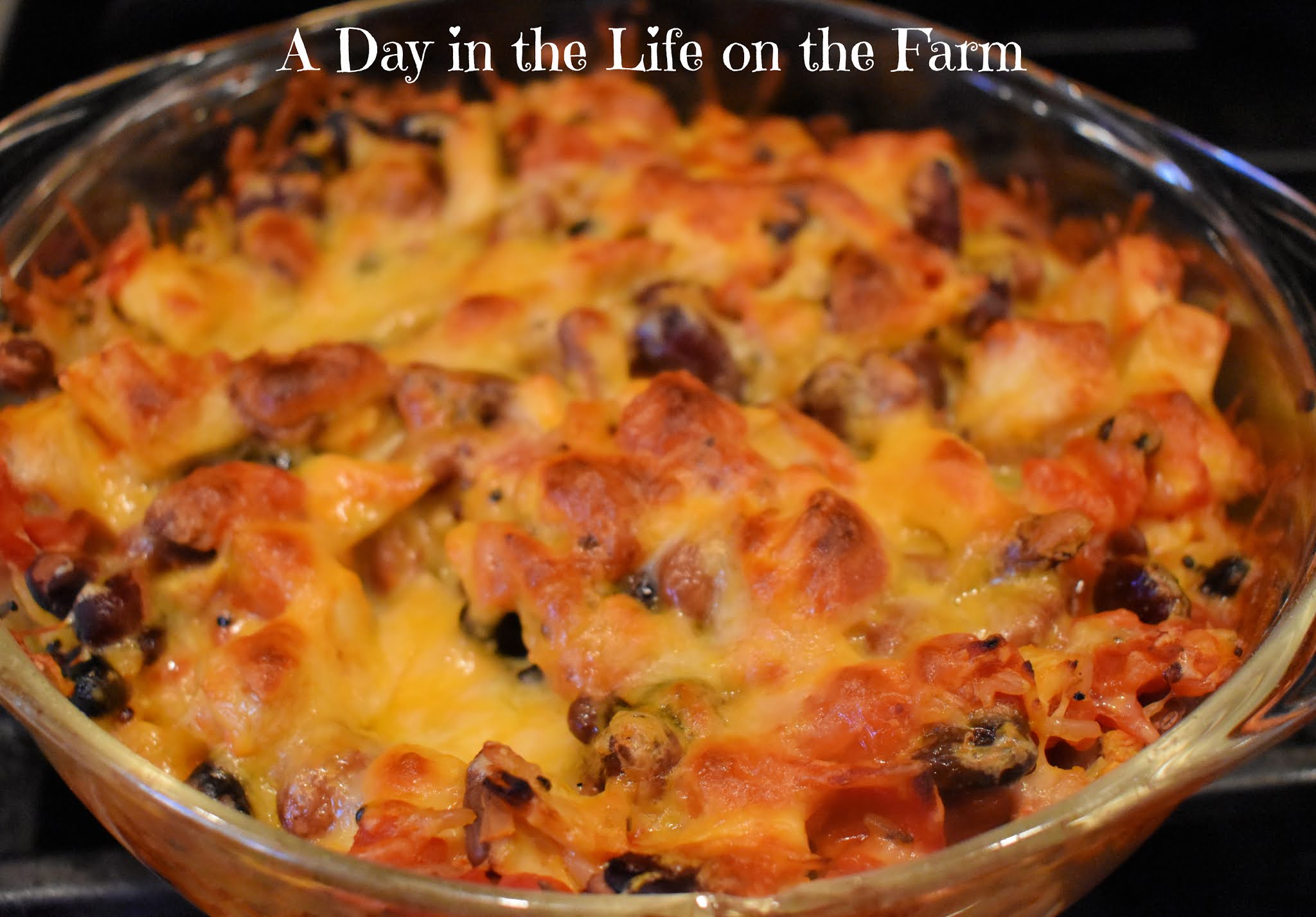 A Day In The Life On The Farm Chicken Mexican Bake DASH Diet Friendly a-day-in-the-life-on-the-farm-chicken-mexican-bake-dash-diet-friendly