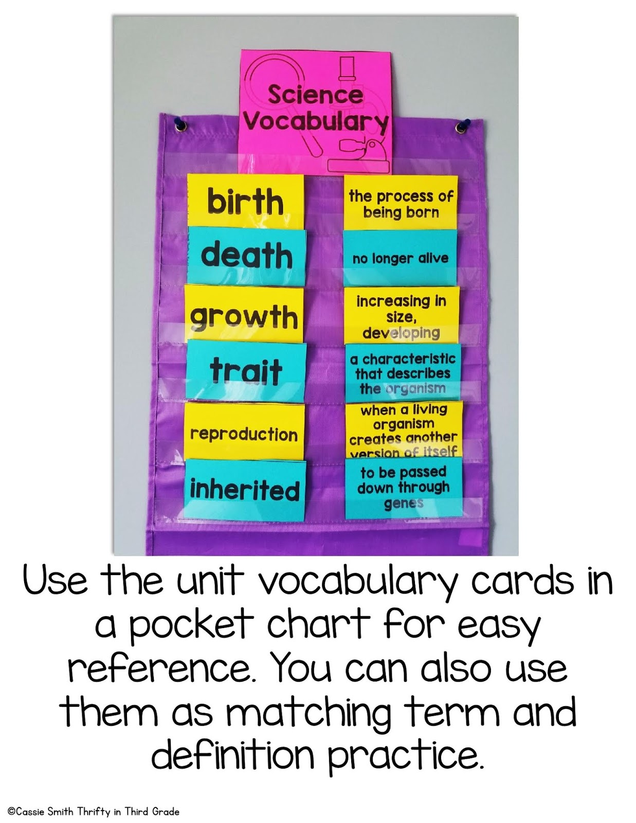 Inheritance and Variations of Traits: Life Cycles and Traits 3rd Grade