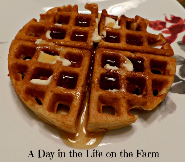 Sprouted Wheat Waffles
