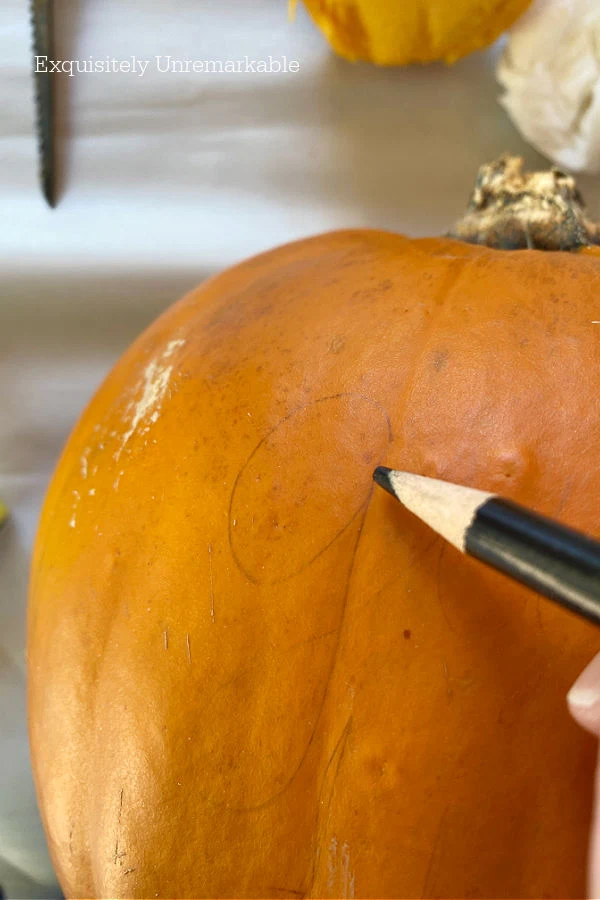 Drawing On A Pumpkin with pencil