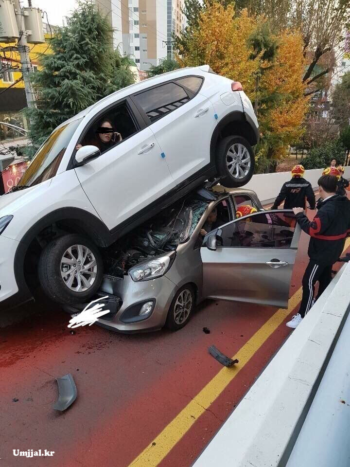 여보~ 애들하고 밥 먼저 먹어~ - 움짤코리아