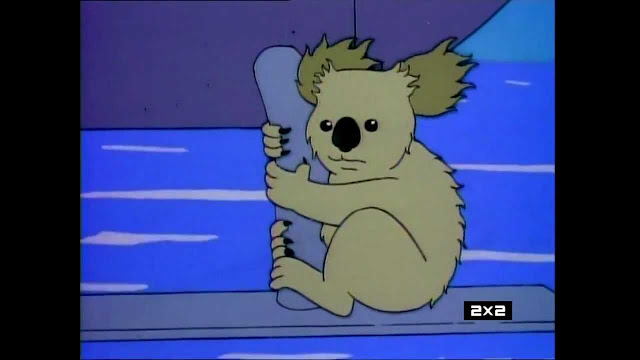 Koala bear leaving Australia with the Simpson family