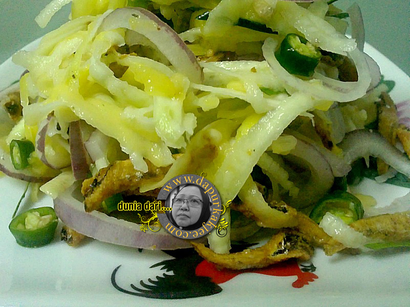 Kerabu Mangga Ala Somtam Fauziahsamadcom