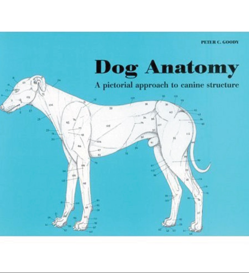 Dog Anatomy :A Pictorial Approach to Canine Structure