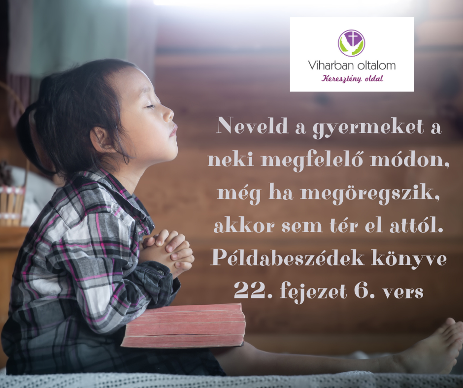 nő kutyával kereső ember szív filmelőzetes