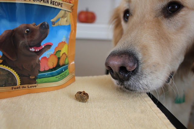 Healthy Dog Treats for the Holiday Season Zukes pumpkin and turkey review and giveaway