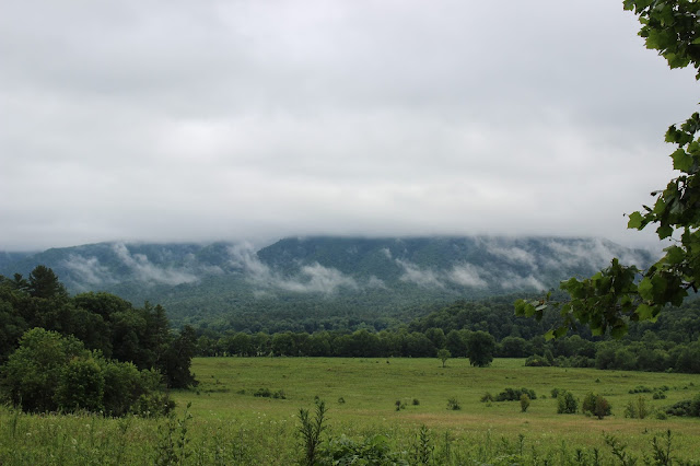 misty view out across cades cove blue mountains