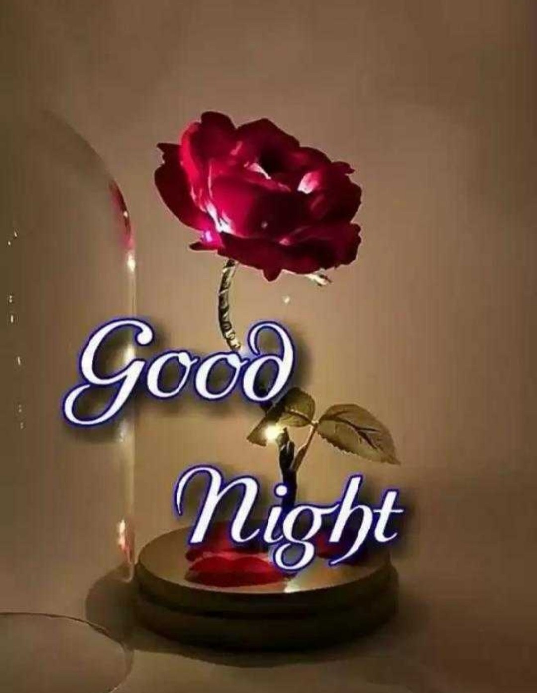 550 + Best Good Night Image || Good Night Image For Love || Good Night Image For Lover || Good Night Image Download || Good Night Image Hd 550 + Best Good Night Image || Good Night Image For Love || Good Night Image For Lover || Good Night Image Download || Good Night Image Hd