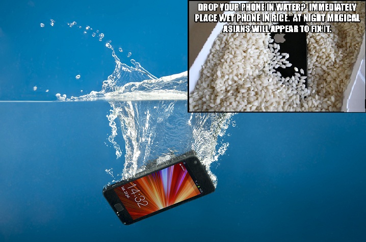 Silica Gel For Drying Hydrangeas - Preserve Vibrant Blooms Forever