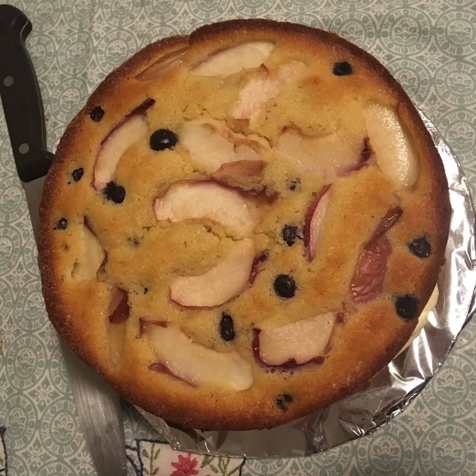 Nectarine and Blueberry Cake Laws of the Kitchen