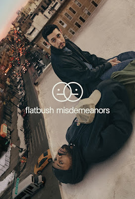 Flatbush Misdemeanors Series Poster