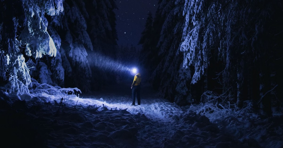 HD Wallpaper Winter, Alone Man, Flashlight, Night, Forest