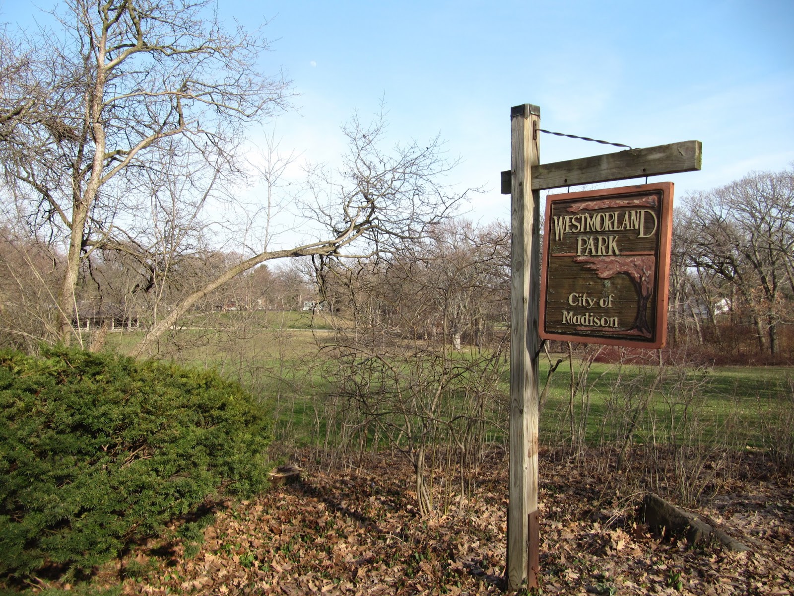 Retiring Guy Westmorland Park, Madison, Wisconsin