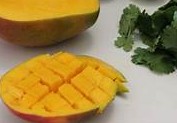 MANGO SALSA