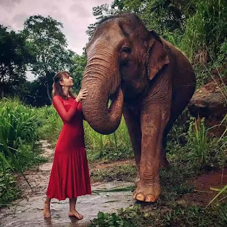 Best Places To Visit In Sri Lanka | Best things to Do In Sri Lanka