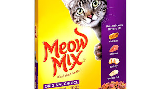 Best cat food options
