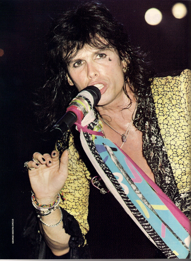 Aerosmith エアロスミス Steven Tyler ギターピック Aerosmith エアロスミス Steven ギターピック Aerosmith エアロ