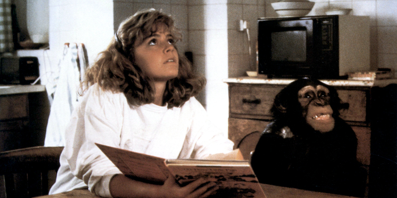 link 1986 review