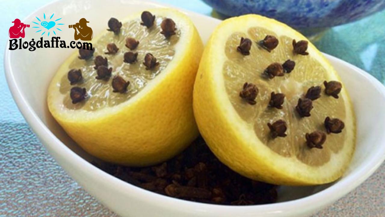 Manfaat buah lemon untuk mengusir serangga