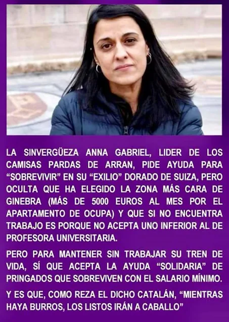 Anna Gabriel, trabajo, Suiza, Arran, CUP