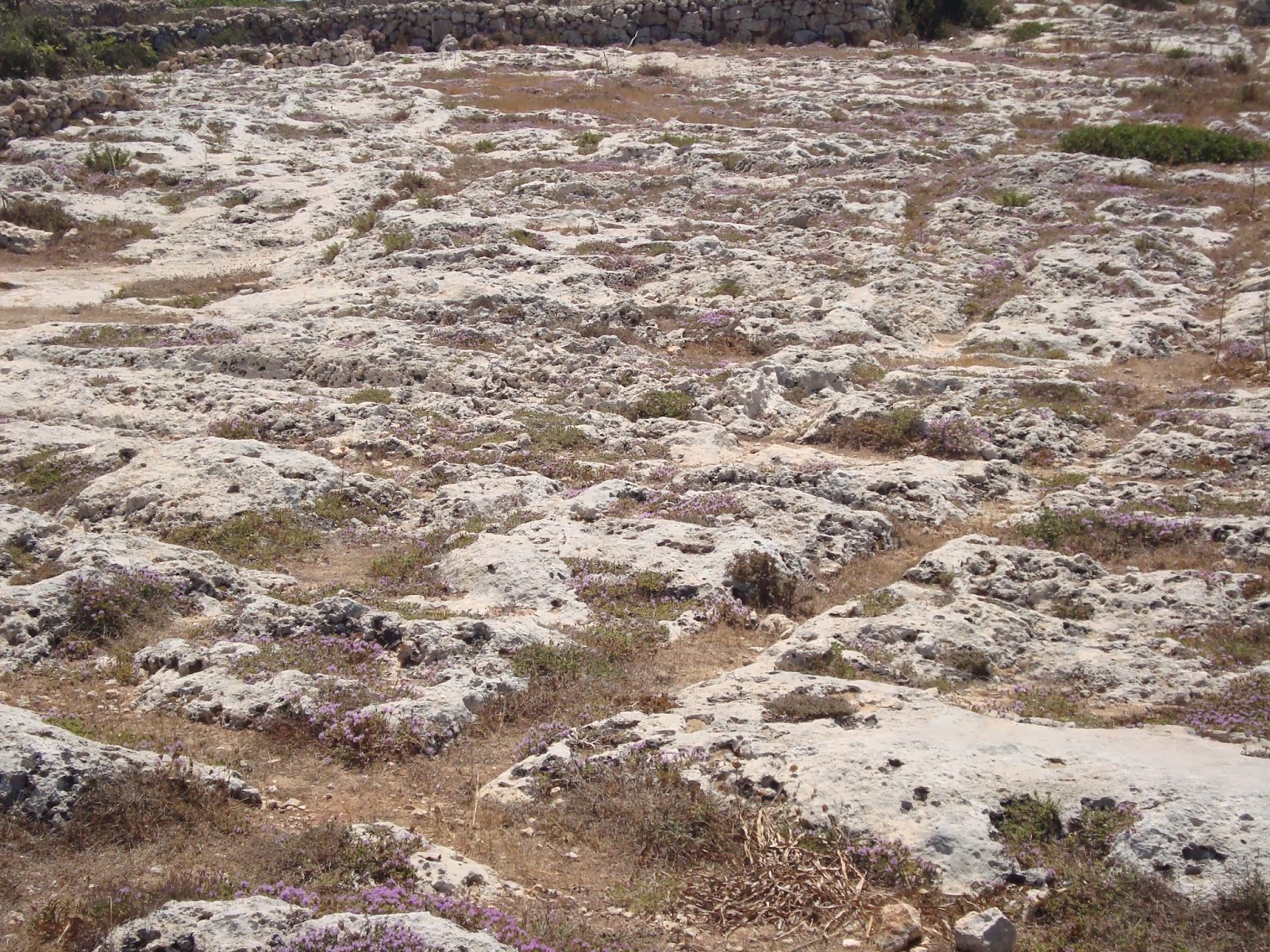 VIAJES EN LA MOCHILA: 54.- LOS “CART-RUTS” O SURCOS DE CARRO (MISRAH ...