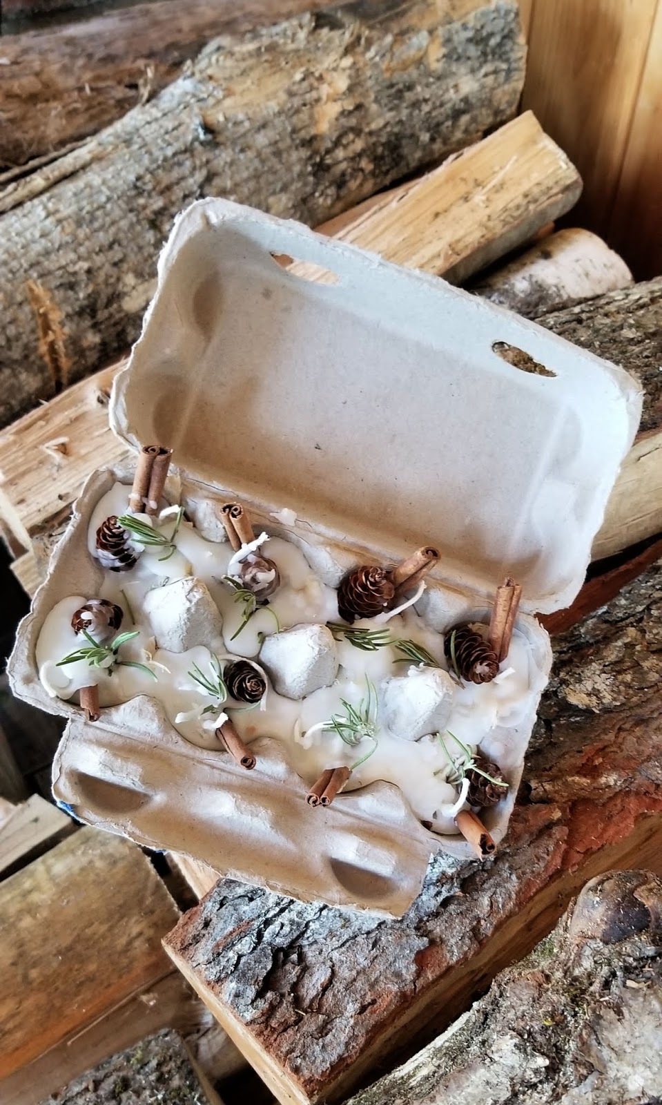 DIY Beeswax Egg Carton Fire Starters Fresh Eggs Daily® with Lisa Steele