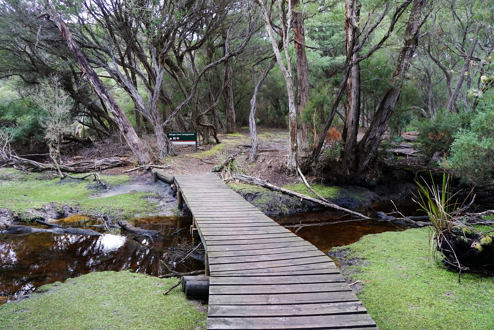Wilsons Promontory Southern Circuit (VIC) Sealers Cove to Little