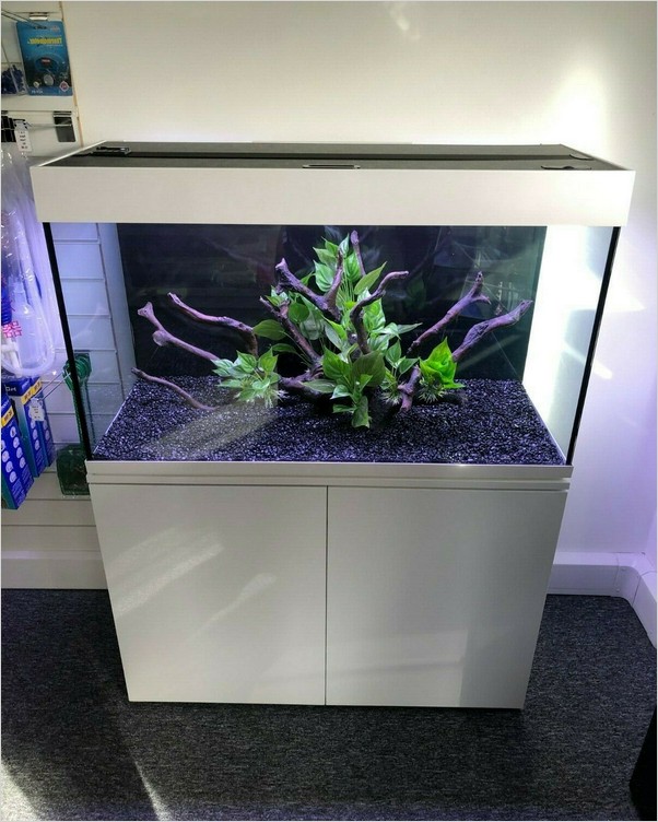 Aquarium Fish Tank Home Interior Exterior Decor Design Ideas