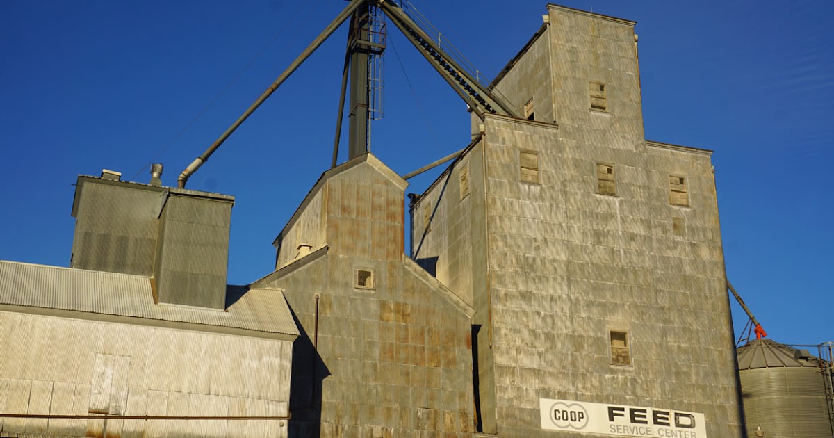 Taken For Granted Coop Feed