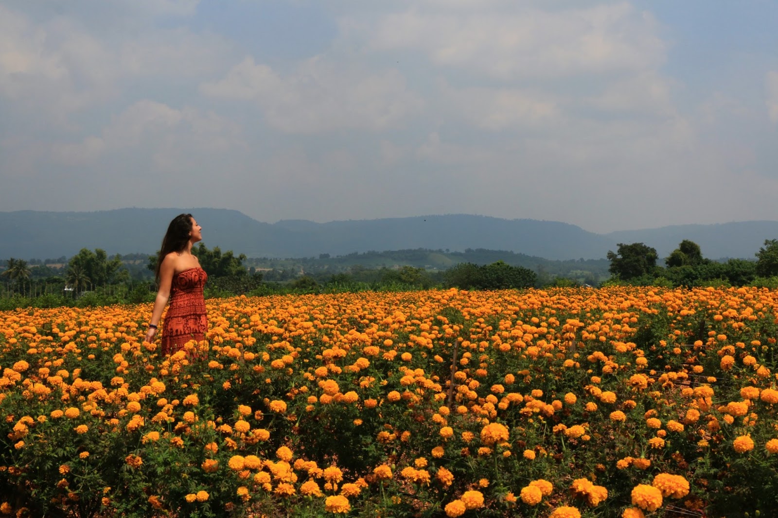 Pensieri In Viaggio La Voce Del Silenzio
