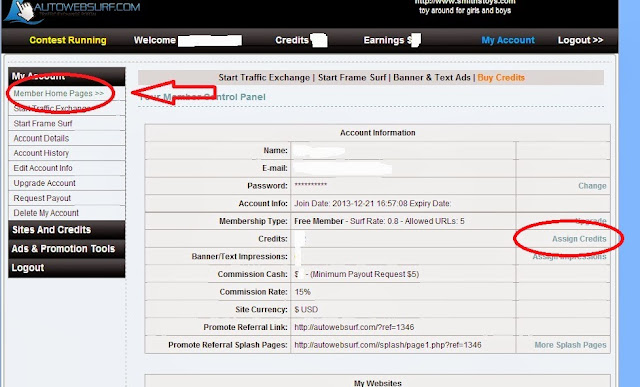 Simple Guide To Get Strat With Autowebsurf.com [Traffic Exchange Programme]