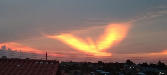 Strange Pink Sky Phenomenon Above Brazil and now Appears an Eagle of Fire Eagle-fire-sky-brazil%2B%25281%2529