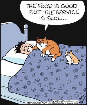 Mystery Fanfare: Cartoon of the Day: Cats
